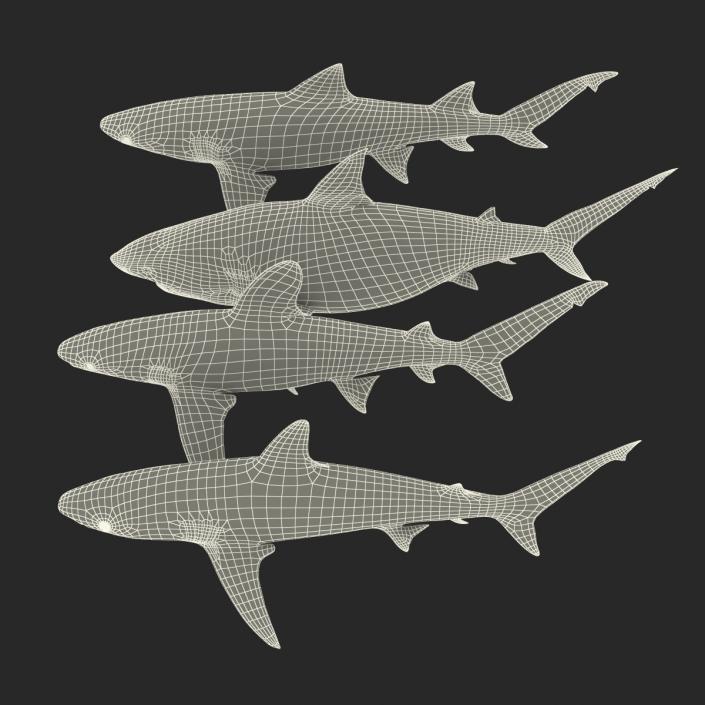 Sharks Collection 9 3D model