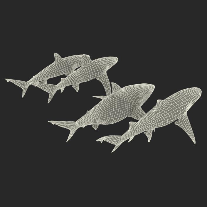 Sharks Collection 9 3D model