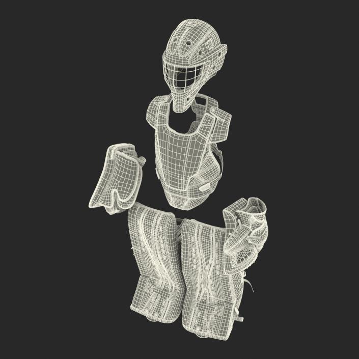 3D Hockey Goalie Protection Kit Generic 2 model