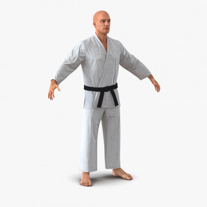 3D Karate Fighters Collection