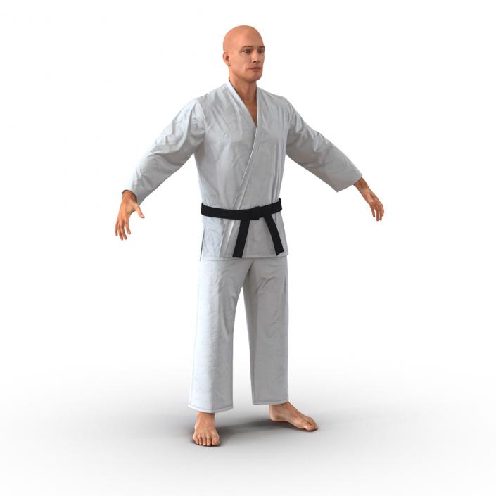 Karate Fighter 3D model