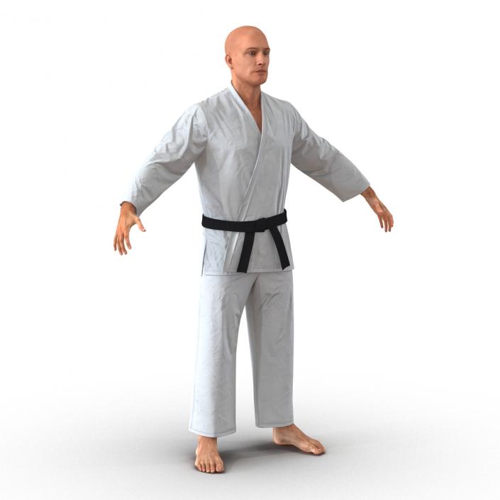 Karate Fighter 3D model