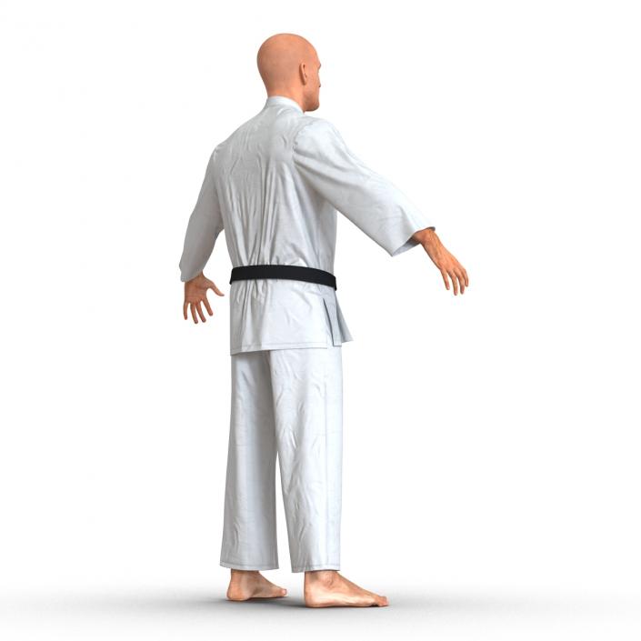 Karate Fighter 3D model