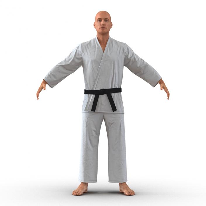 Karate Fighter 3D model