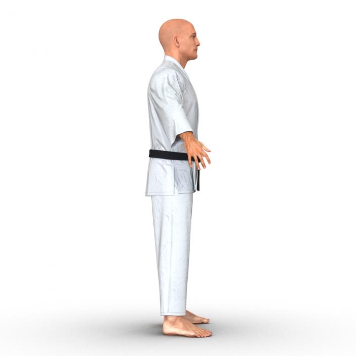 Karate Fighter 3D model