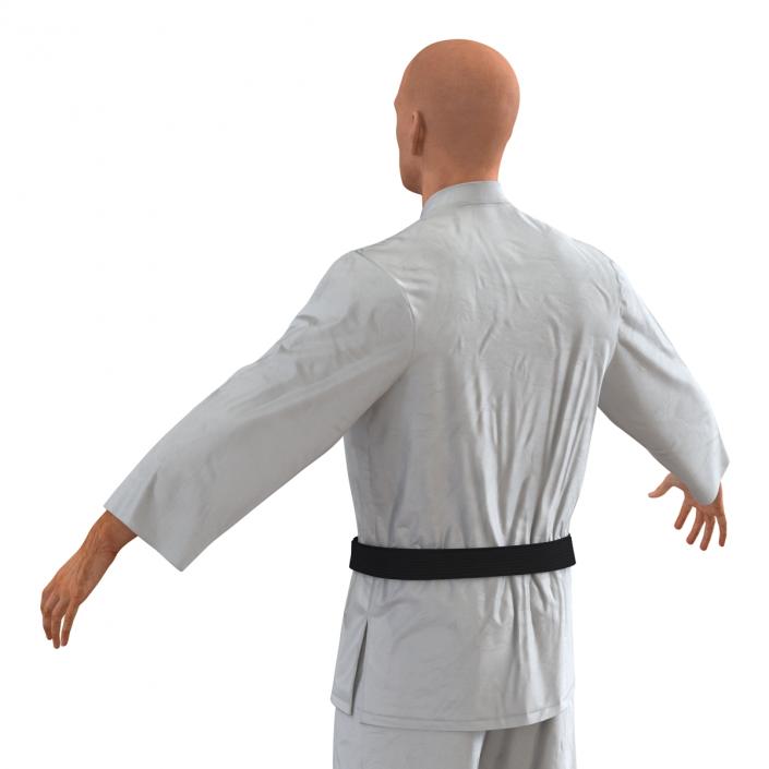 Karate Fighter 3D model