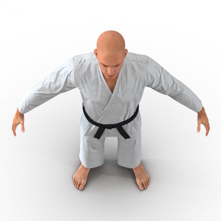 Karate Fighter 3D model