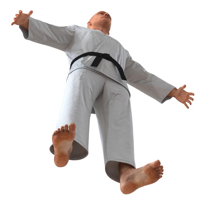 Karate Fighter 3D model