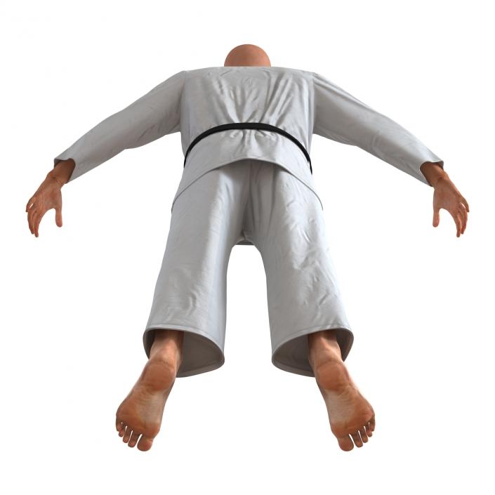 Karate Fighter 3D model