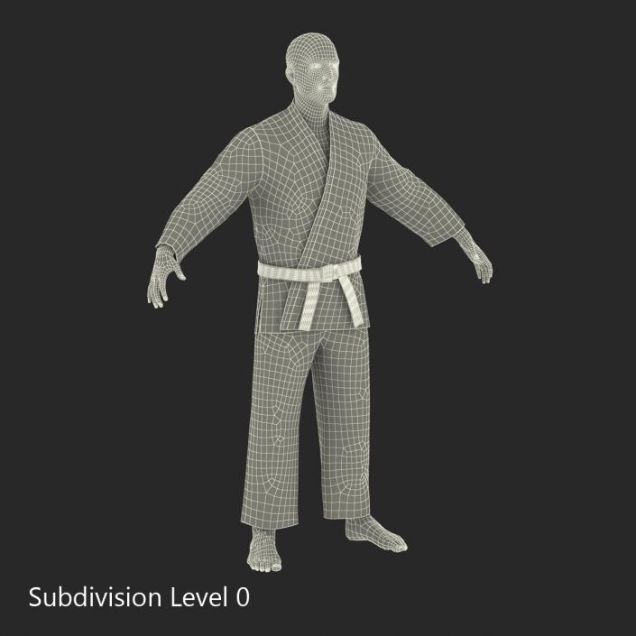 Karate Fighter 3D model