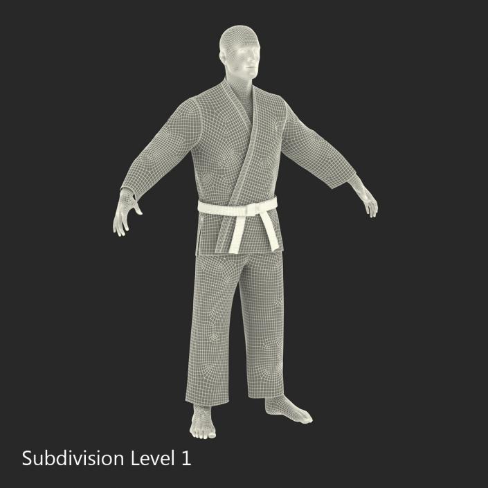 Karate Fighter 3D model