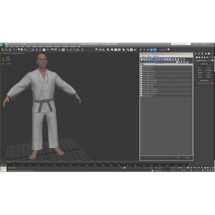 Karate Fighter 3D model