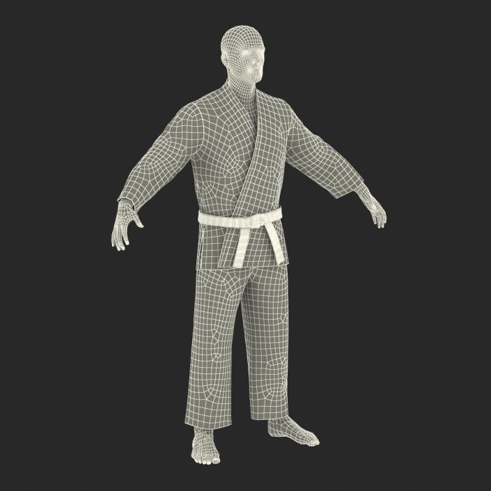 Karate Fighter 3D model