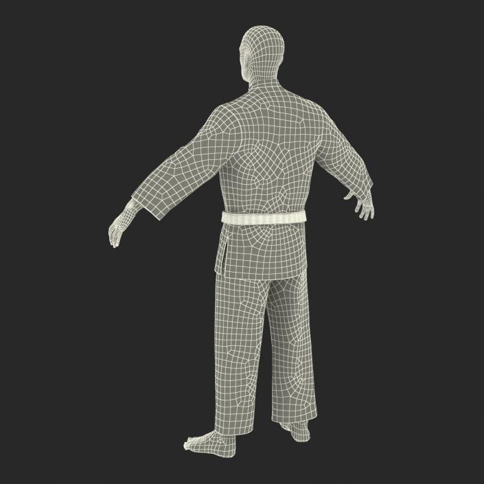 Karate Fighter 3D model