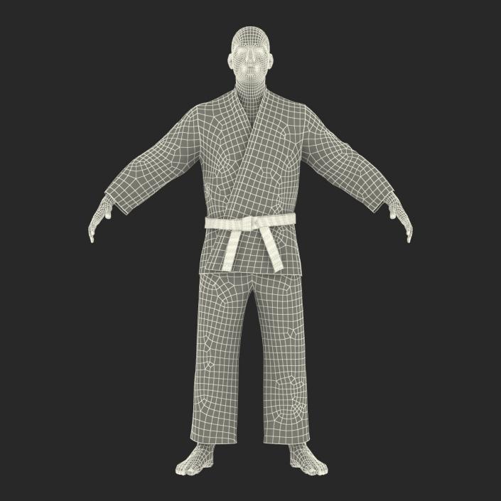 Karate Fighter 3D model