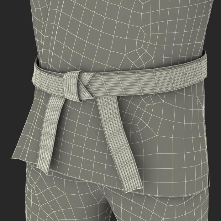 Karate Fighter 3D model