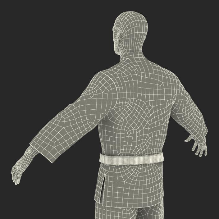 Karate Fighter 3D model