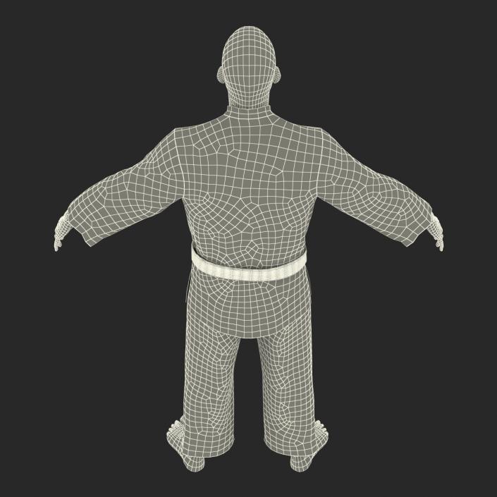 Karate Fighter 3D model