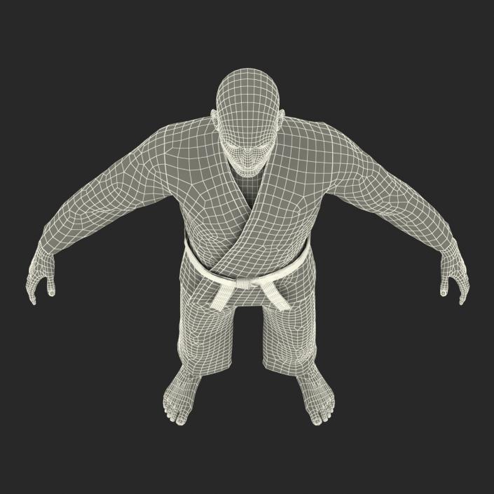 Karate Fighter 3D model