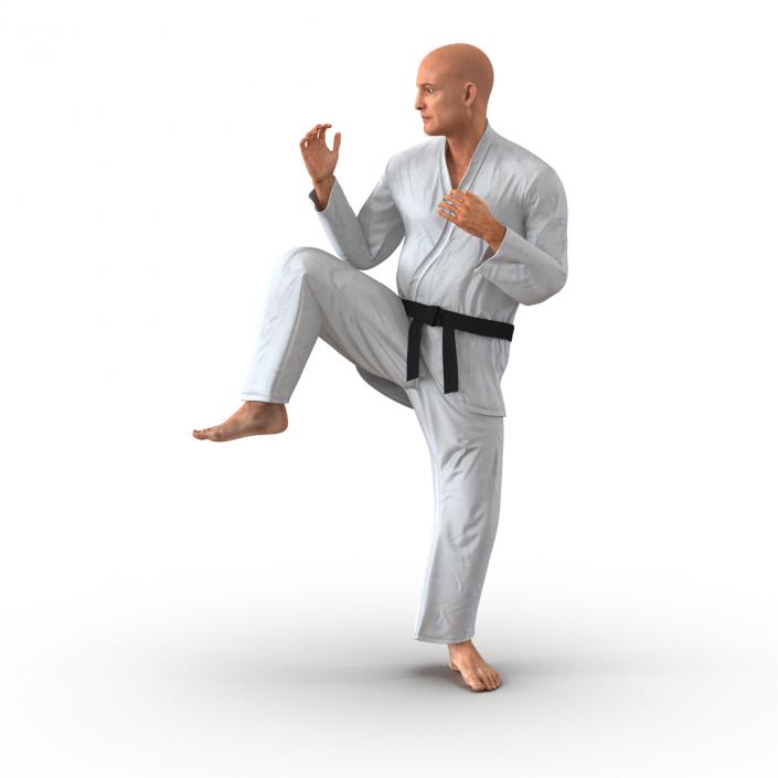 3D Karate Fighter Pose 3