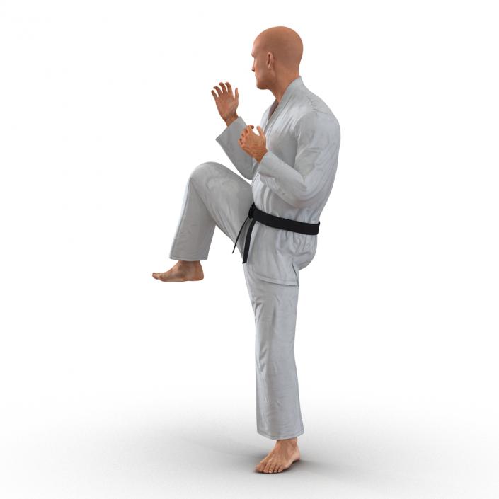 3D Karate Fighter Pose 3