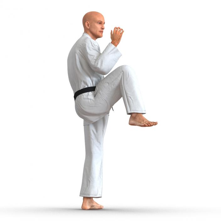 3D Karate Fighter Pose 3