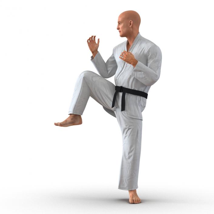 3D Karate Fighter Pose 3