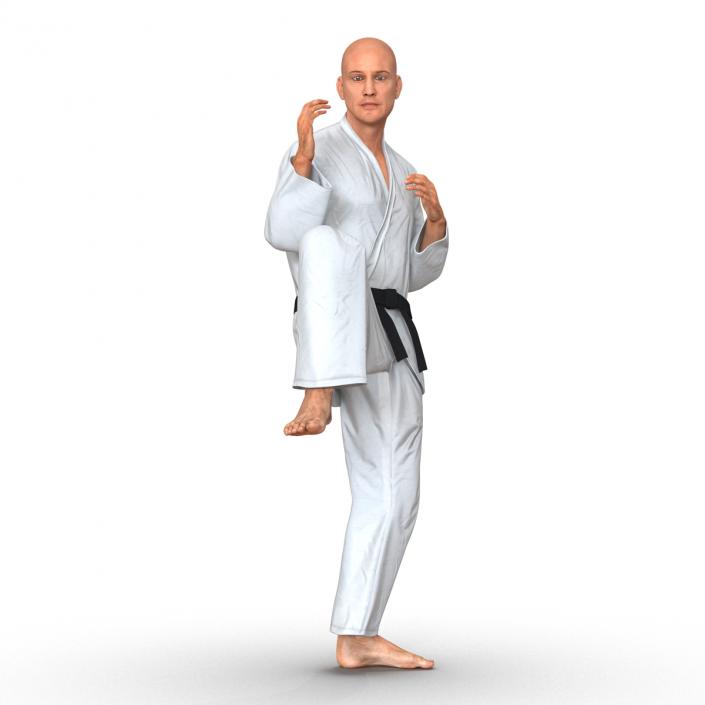 3D Karate Fighter Pose 3