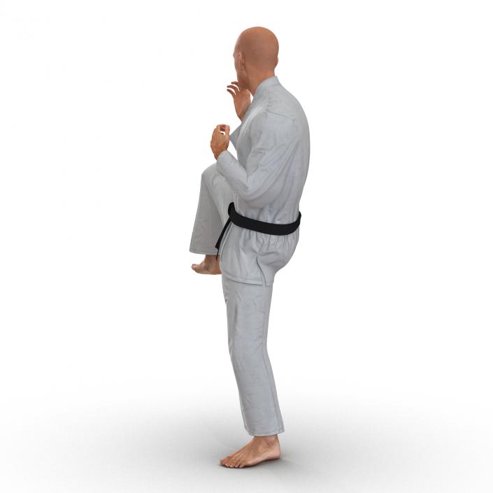 3D Karate Fighter Pose 3