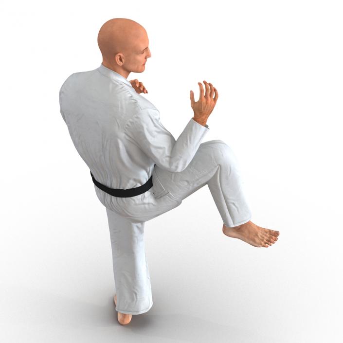 3D Karate Fighter Pose 3