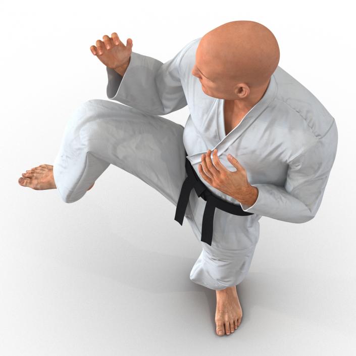 3D Karate Fighter Pose 3