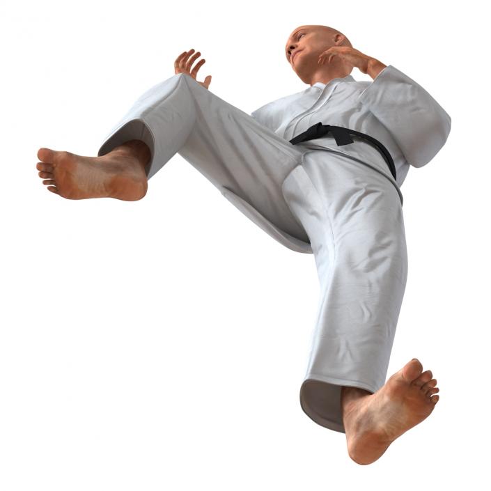 3D Karate Fighter Pose 3