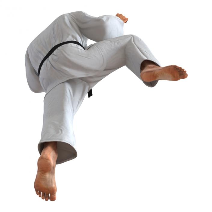 3D Karate Fighter Pose 3