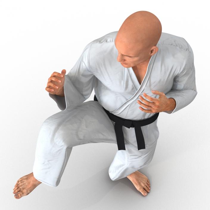 3D Karate Fighter Pose 3