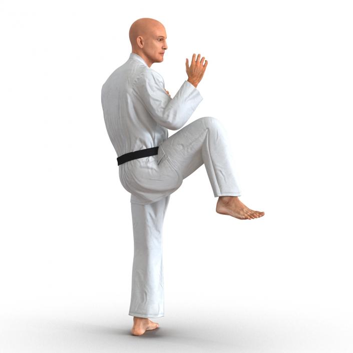 3D Karate Fighter Pose 3