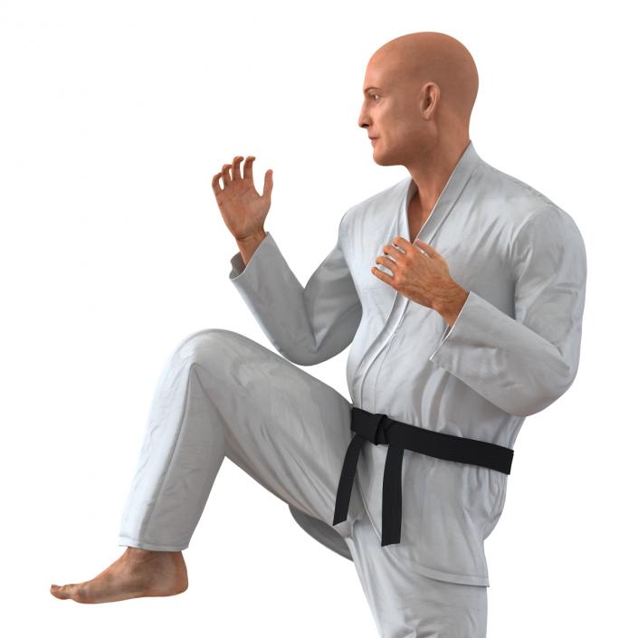 3D Karate Fighter Pose 3