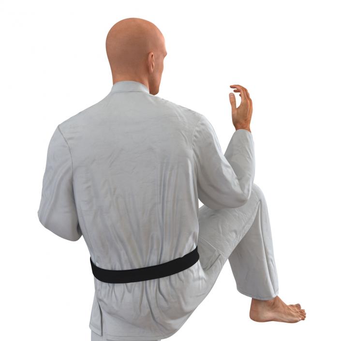 3D Karate Fighter Pose 3