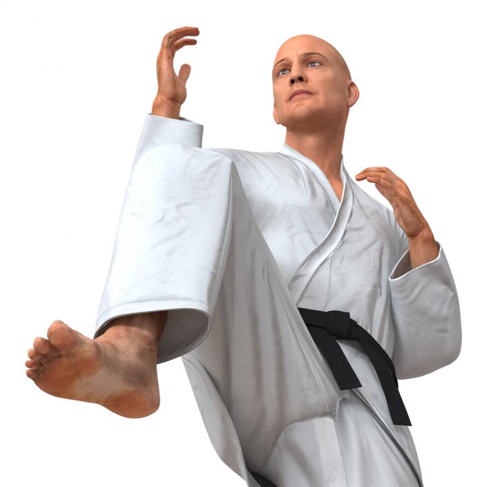 3D Karate Fighter Pose 3