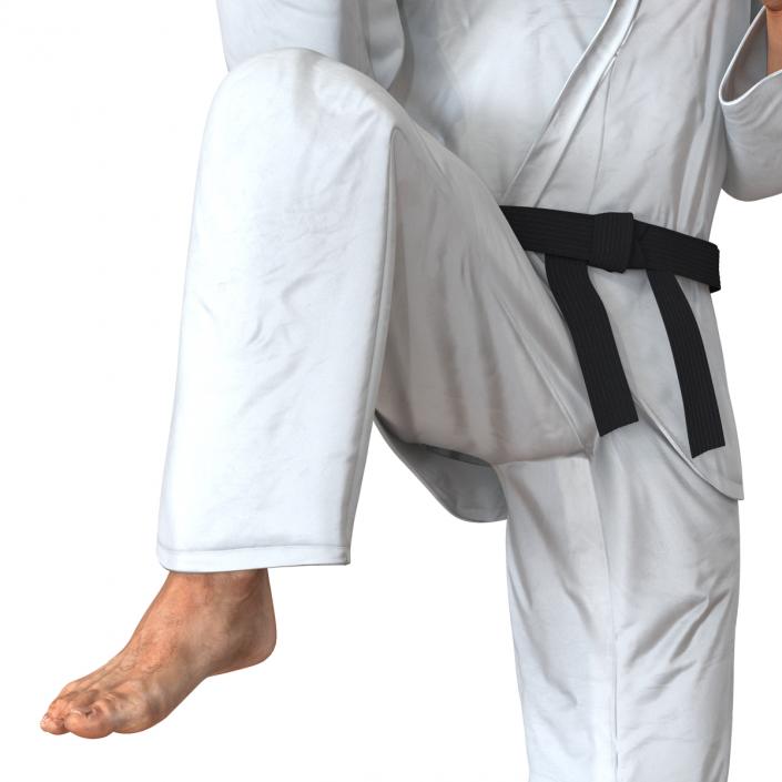 3D Karate Fighter Pose 3