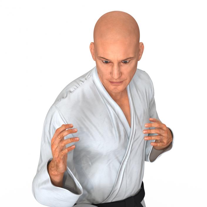 3D Karate Fighter Pose 3