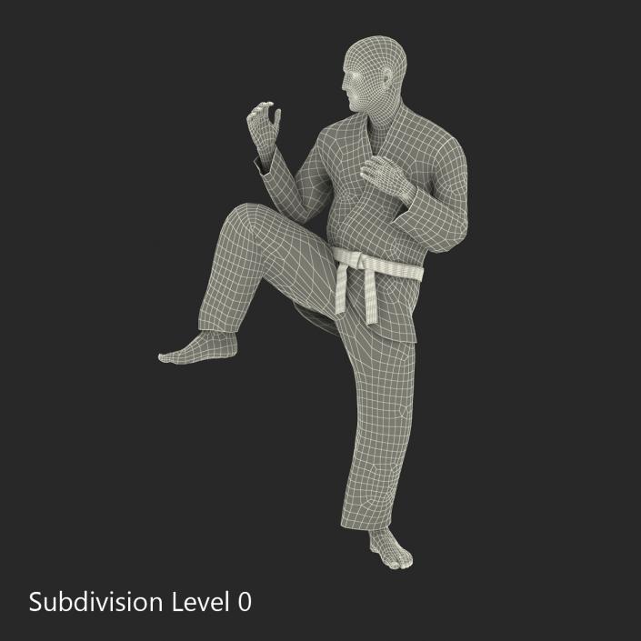 3D Karate Fighter Pose 3