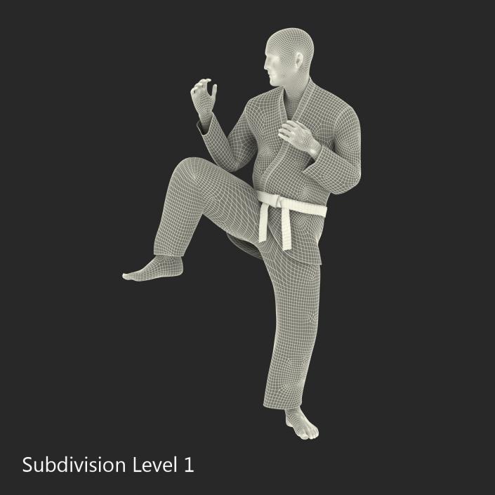 3D Karate Fighter Pose 3