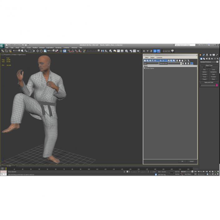 3D Karate Fighter Pose 3