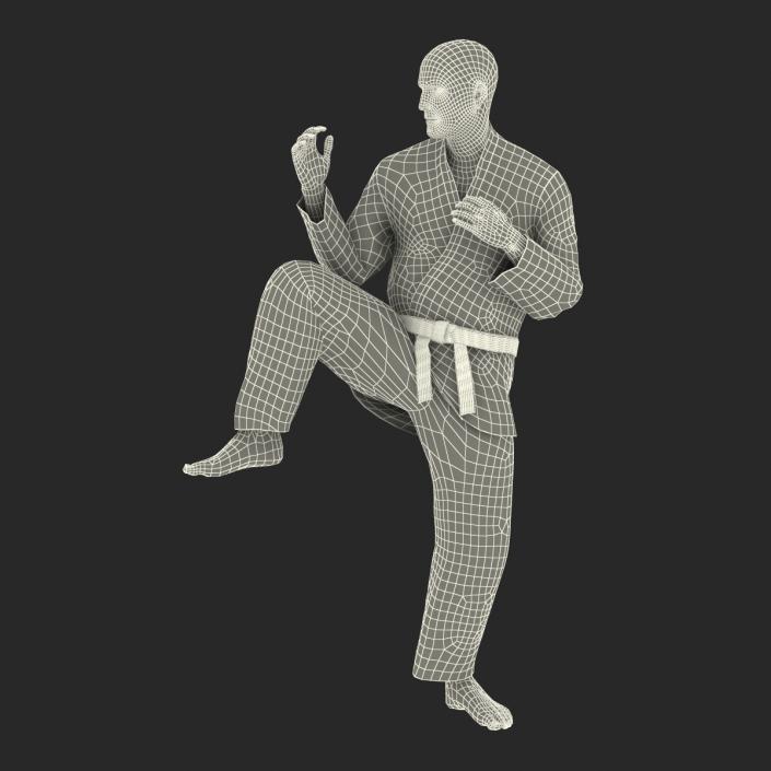 3D Karate Fighter Pose 3