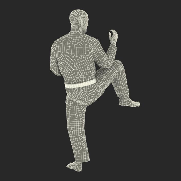 3D Karate Fighter Pose 3