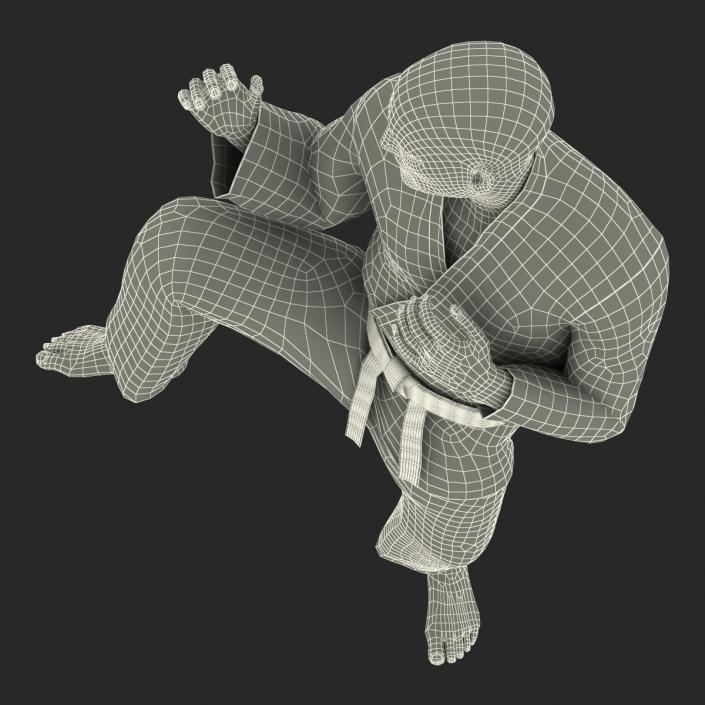 3D Karate Fighter Pose 3