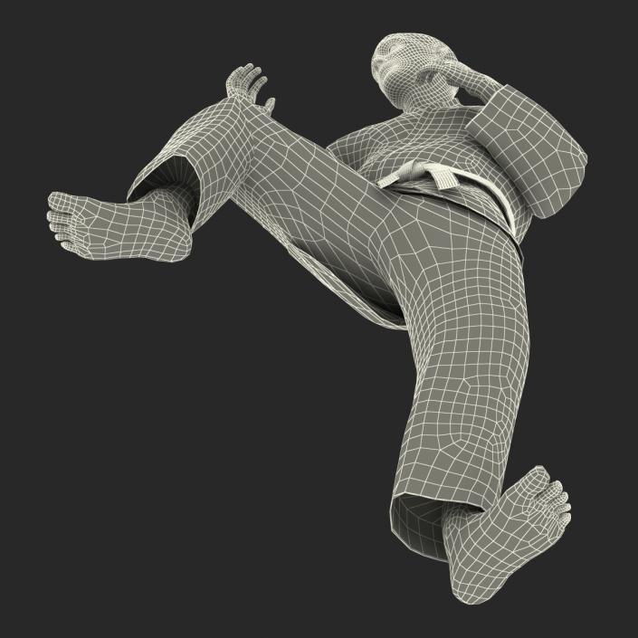 3D Karate Fighter Pose 3