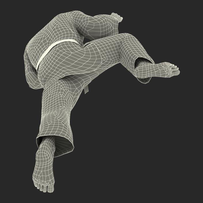 3D Karate Fighter Pose 3