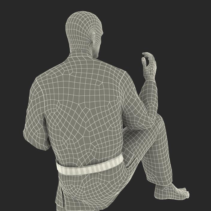 3D Karate Fighter Pose 3