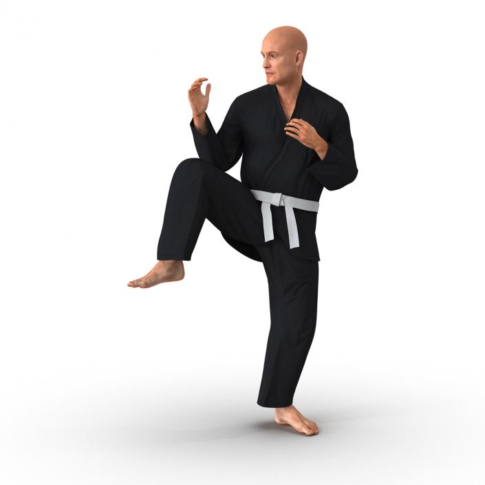 Karate Fighter Pose 3 Black Suit 3D